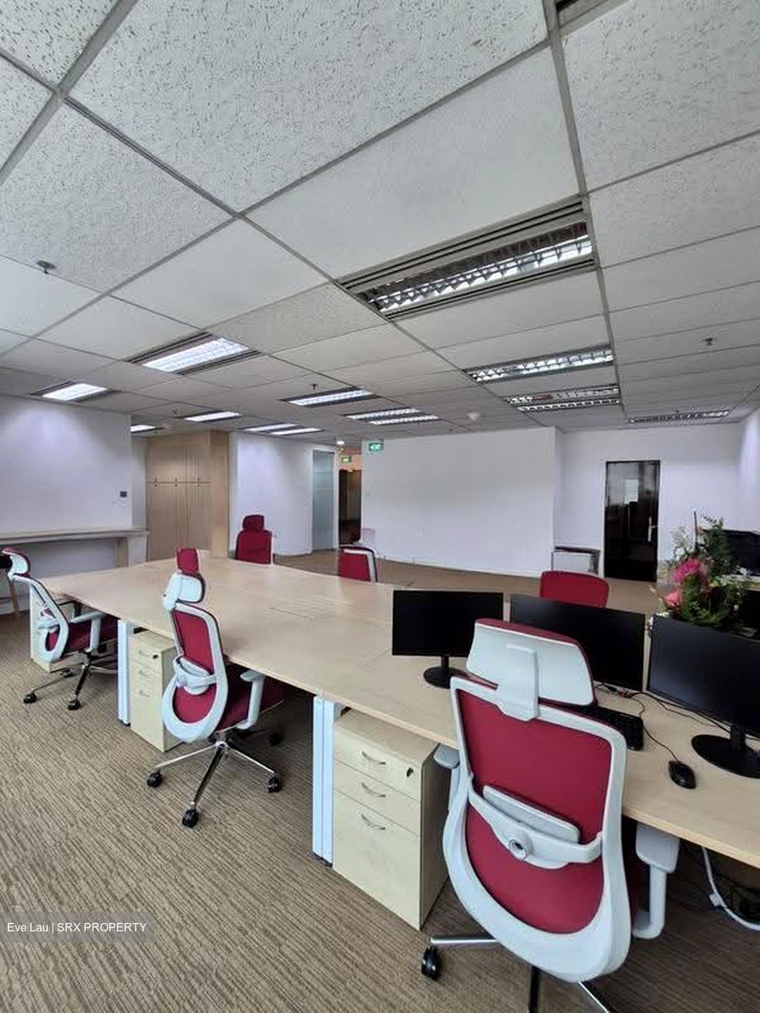 Tan Eng Kiam Building (D1), Office #623049001